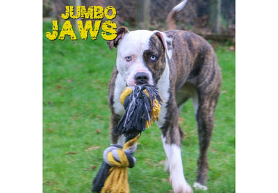 Jumbo Jaws Super Rope Dog Toy 54cm