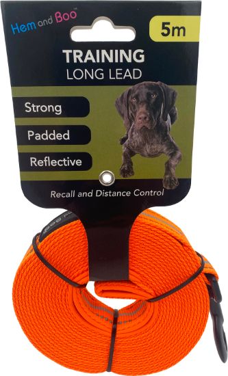 Sport Reflective Training Long Lead 5m