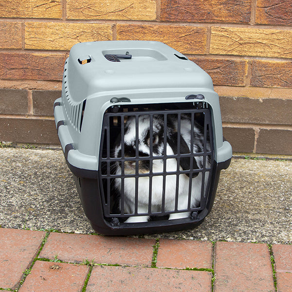 Blue&Black Pet Carrier - Small