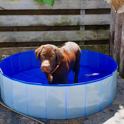 Dog Pool 120x30cm