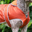 Storm Guard Small/Medium Terracotta Coat