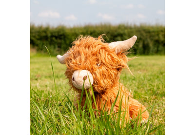 Heritage Fergus Highland Cow