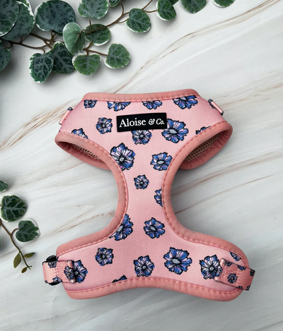 A&C Harness Blooming Blossom XS