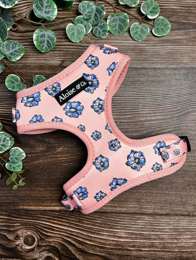 A&C Harness Blooming Blossom XS