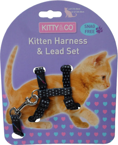 Spotty Kitten Harness & Lead