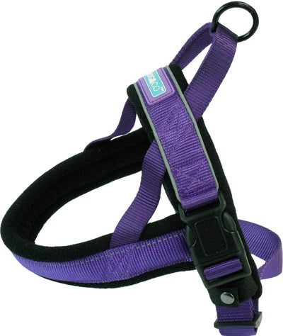 D&C Medium Reflective Padded Harness Purple