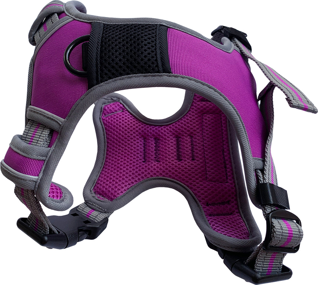 Sports Harness Purple X Sm