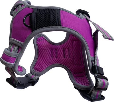 Sports Harness Purple X Large