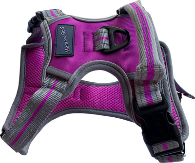 Sports Harness Purple X Sm