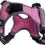 XS Sports Harness Pink