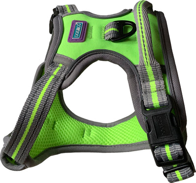 Large Sports Harness Lime