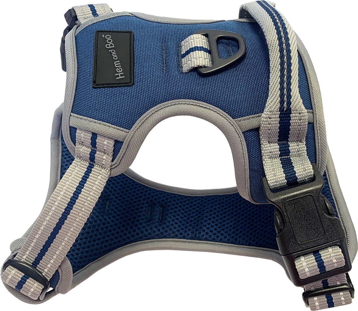 Medium Sports Harness Blue