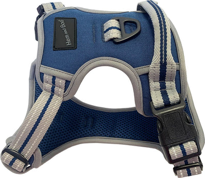 Medium Sports Harness Blue