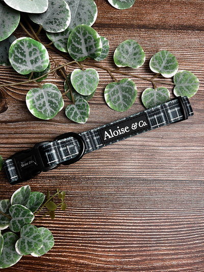 A&C Collar Black Tartan Small