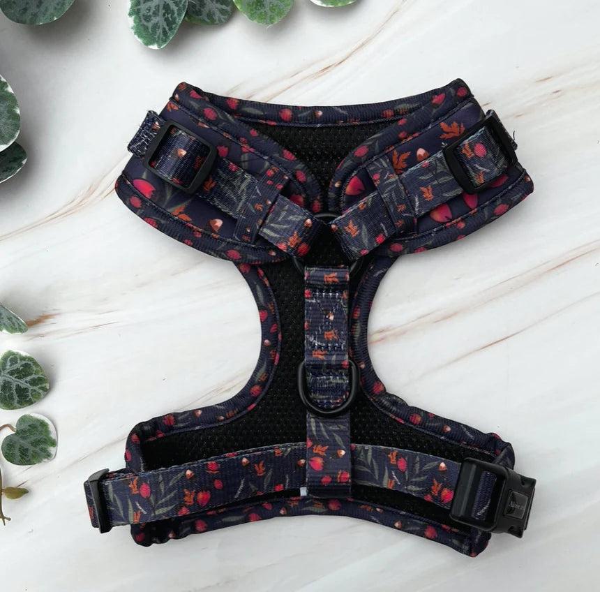 A&C Harness Very Berry XS