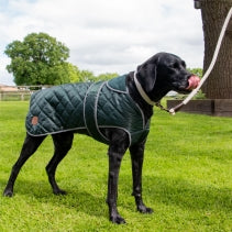 Heritage Green Small Quilted Coat