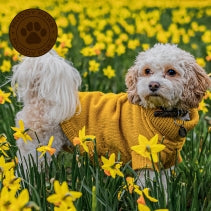 Large Mustard Cable Knit Jumper