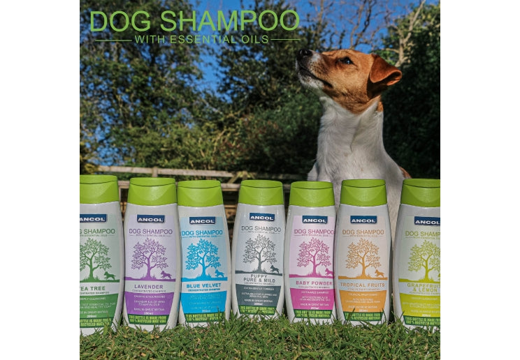 Ancol Blue Velvet Dog Shampoo 200ml