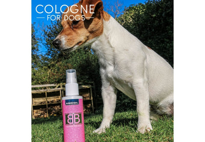 BB Baby Powder Scented Cologne For Dogs 100ml
