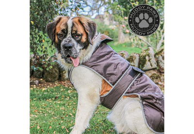 Storm Guard Large Choc Coat